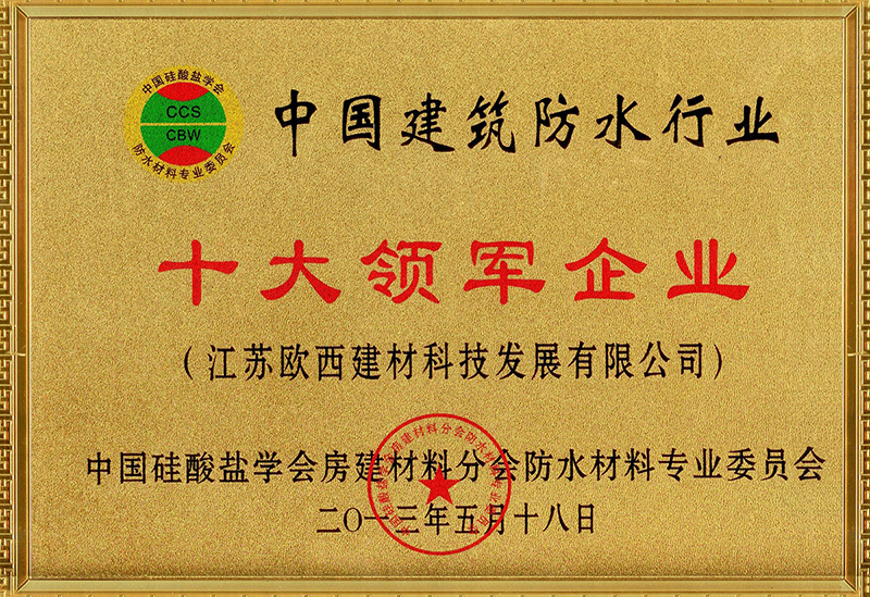 十大領軍企業(yè)